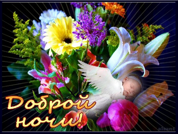 Доброй ночи!