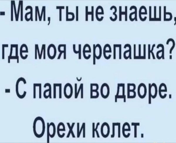 Черепашка