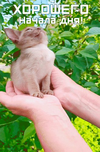 Анимированная открытка хорошего начала