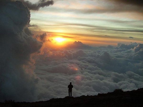 getImage (16)