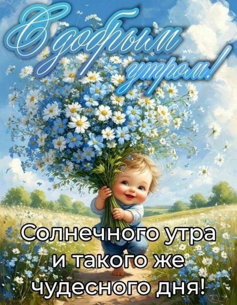 IMG-20260817-WA0027