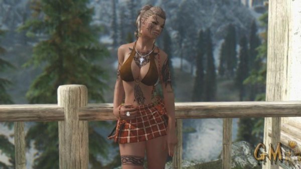 HDT Test Skirts-1-0