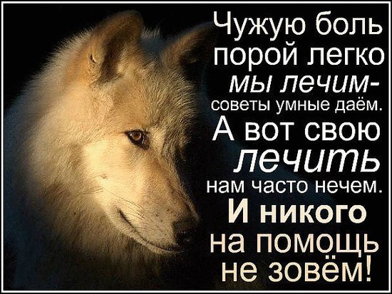 IMG 20170909 225235 1