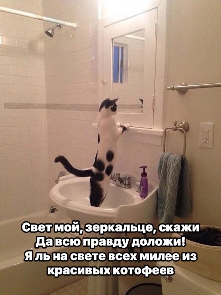 FB IMG 1778837687723
