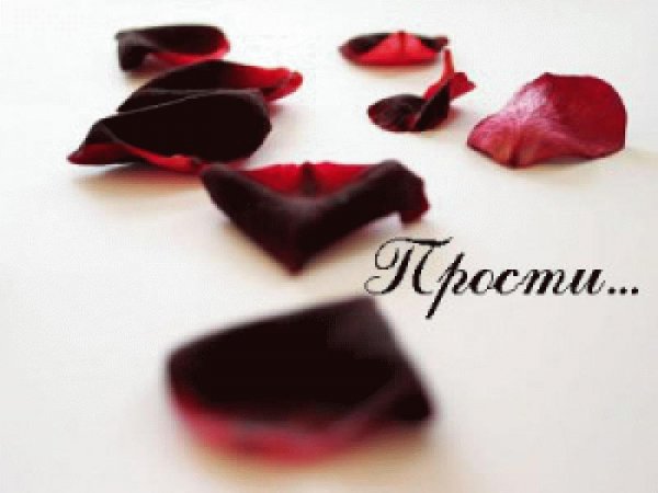 ты прости за любовь(2015)