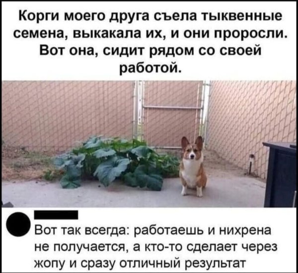 FB IMG 1775665306056