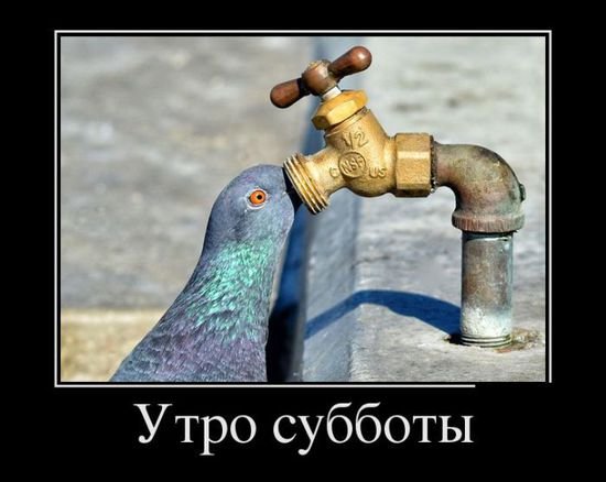 file_77484445