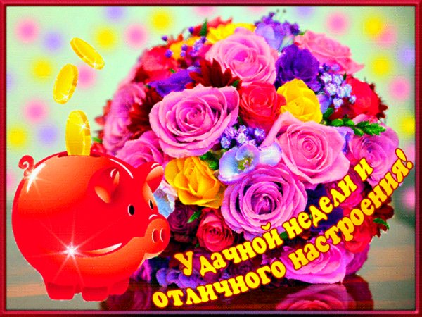 Удачной недели!