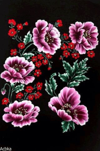 file_75264764