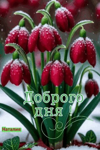 file_102366072