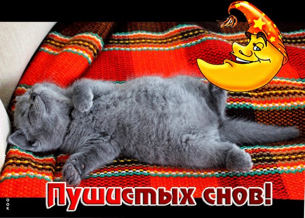 Анимированная открытка пушистых снов