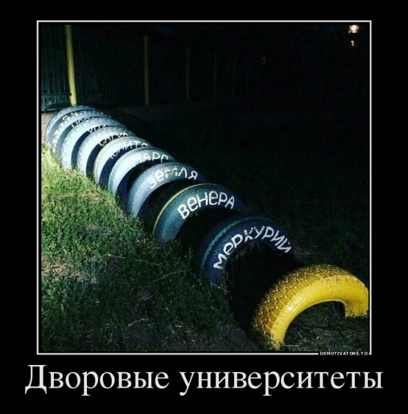 file_64861176
