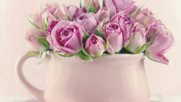 Image (48)
