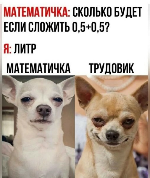 file_102282290