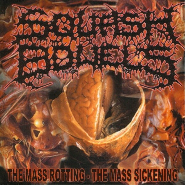 Squash Bowels - Screams Saints Pig Head