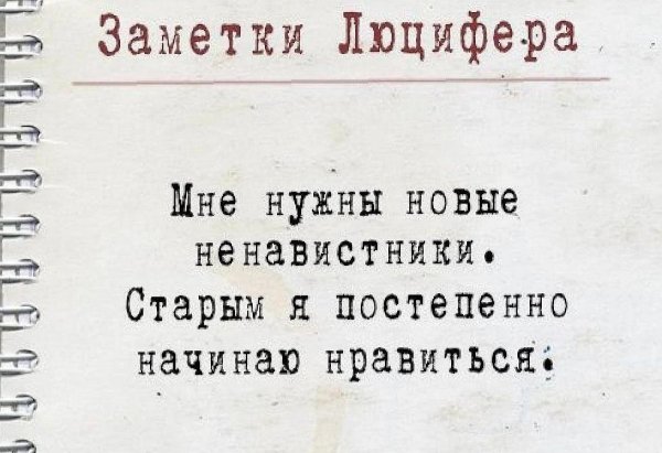 0adb2718e87fafd9c11e102c040981ef (1)