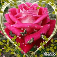 For you