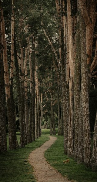 file_102492292