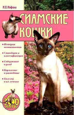 Siamskie koshki