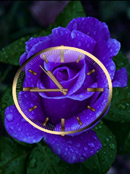 Roza