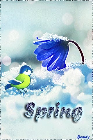 file_76467279
