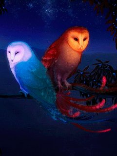 file_52815039
