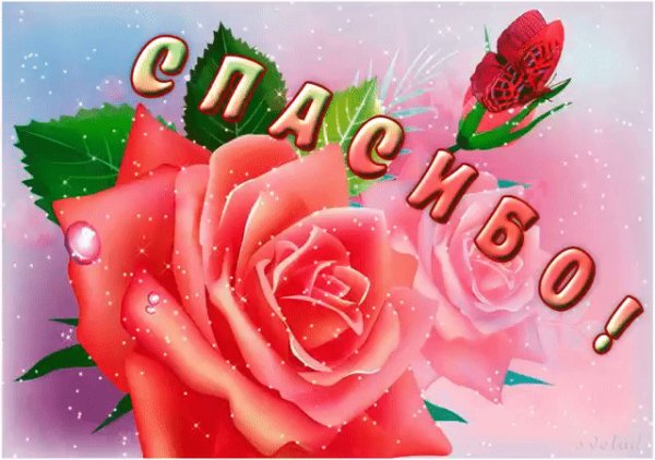 file_79626107