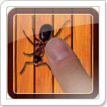 ant smasher