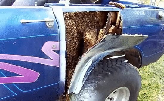 gif 1467290759