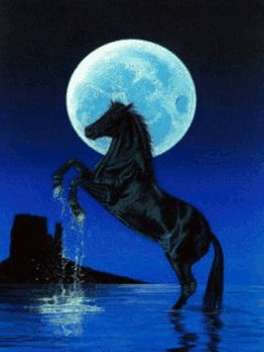Horse лошадь луна вода