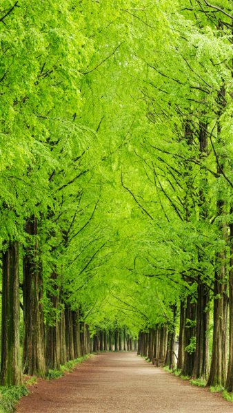 file_91279537