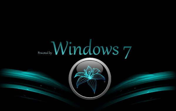 win 7 logon background lilie by premator