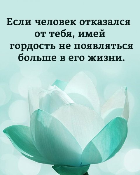 IMG 20251118 040017