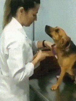 Какой взгляд!