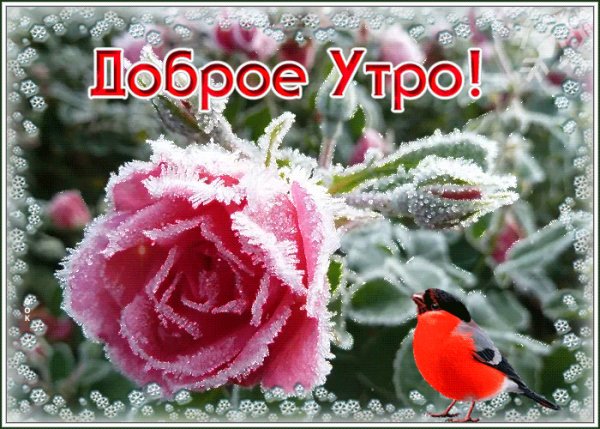 file_98786922