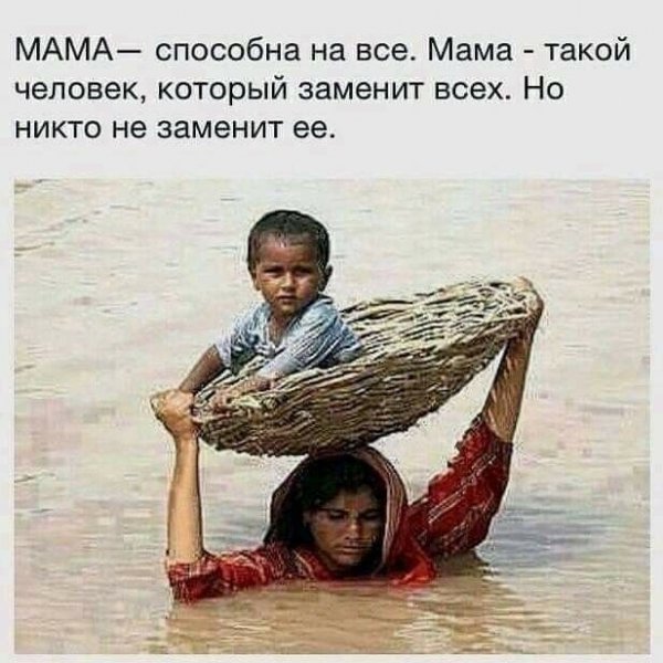 Efe957776a144a41d95c13adc04f09c6