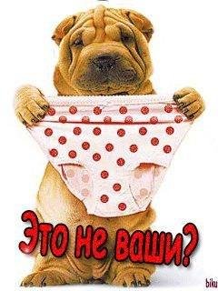 anatoliy-128 cut
