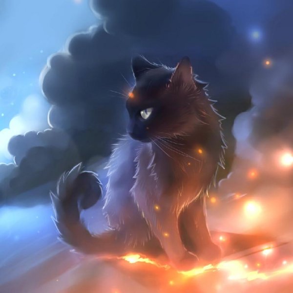 Star Clan Cat