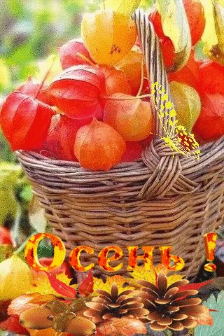 9f8c11