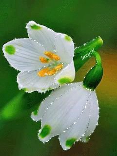 file_46993476