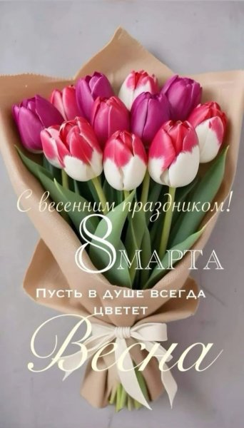 IMG 20260308 140525