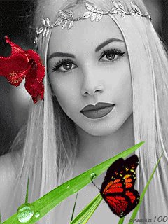 file_46135413