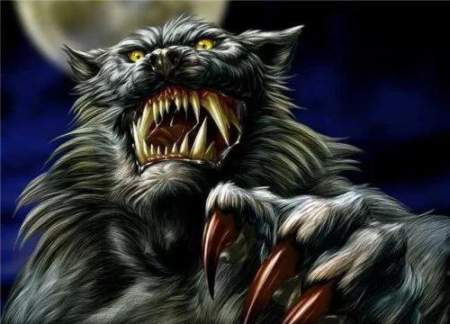 Последний оборотень. Сердце из камня