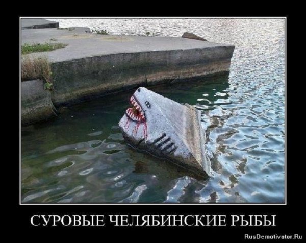 Суровые челябинские рыбы