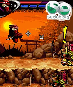 99 ninjas