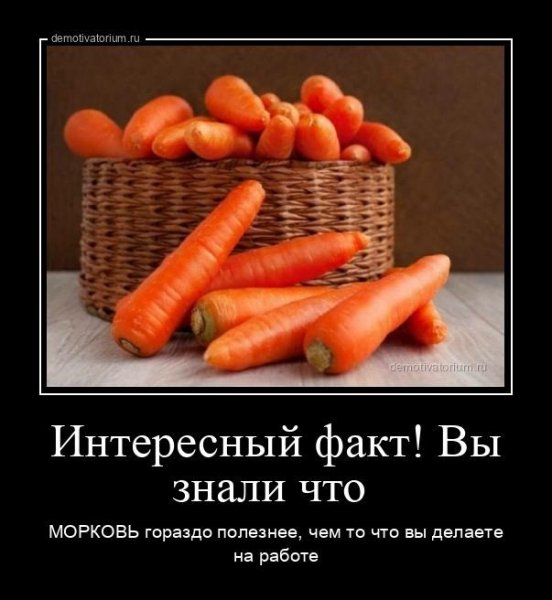 Интересный факт