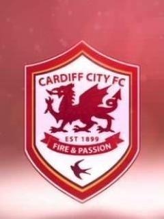 RFM1- Cardiff