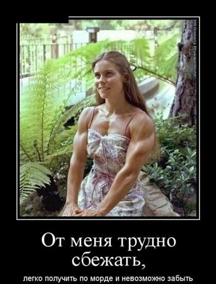 file_79427175