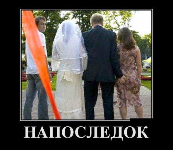 file_66486477