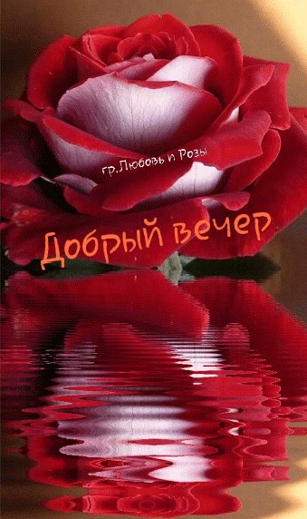 file_101193342